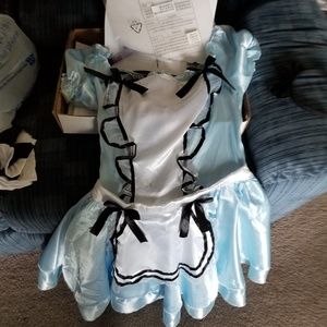Darling Alice Costume